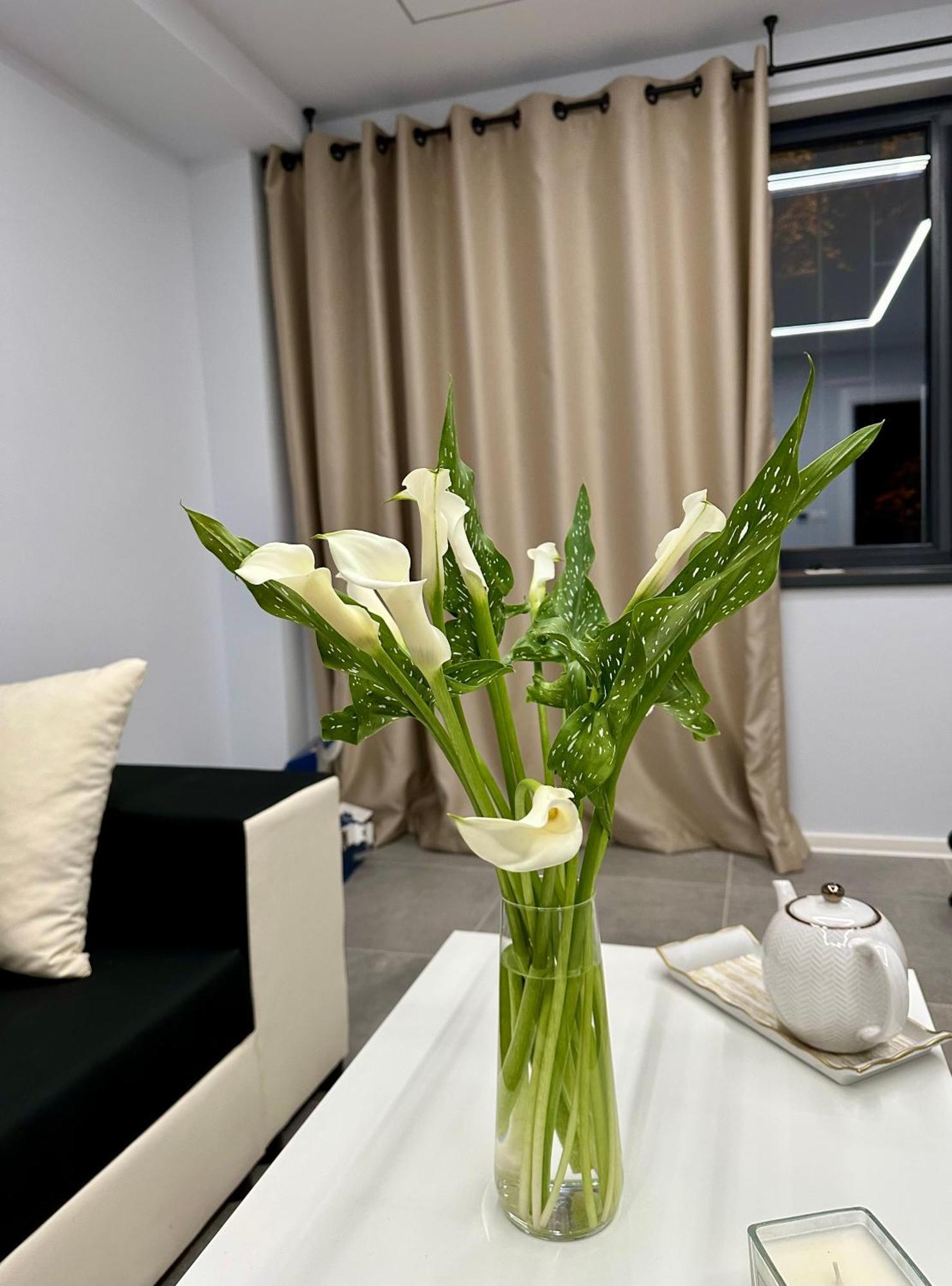 Ppu Home Timişoara Exterior foto
